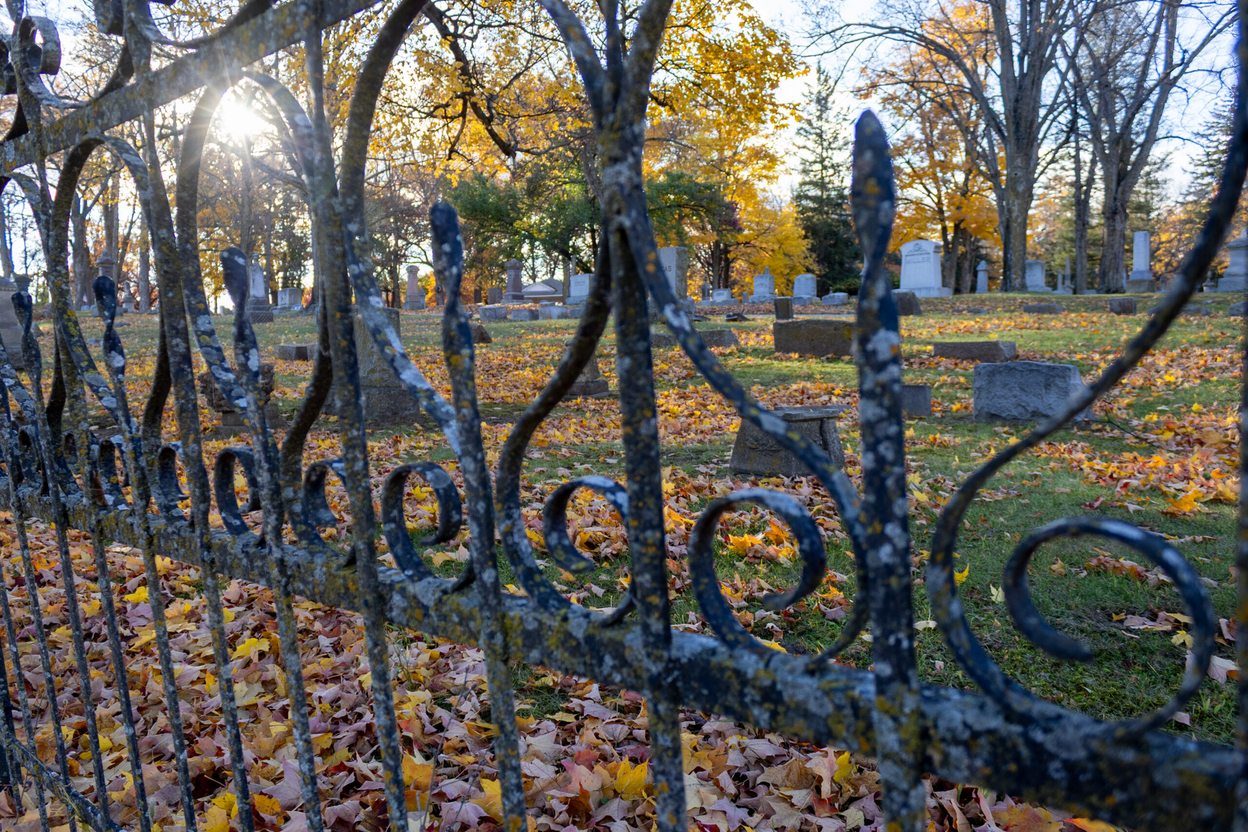 Photo of Oak Grove Cemetery